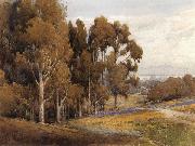 unknow artist A Grove of Eucalyptus in Spring
